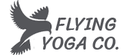 flying yoga.png