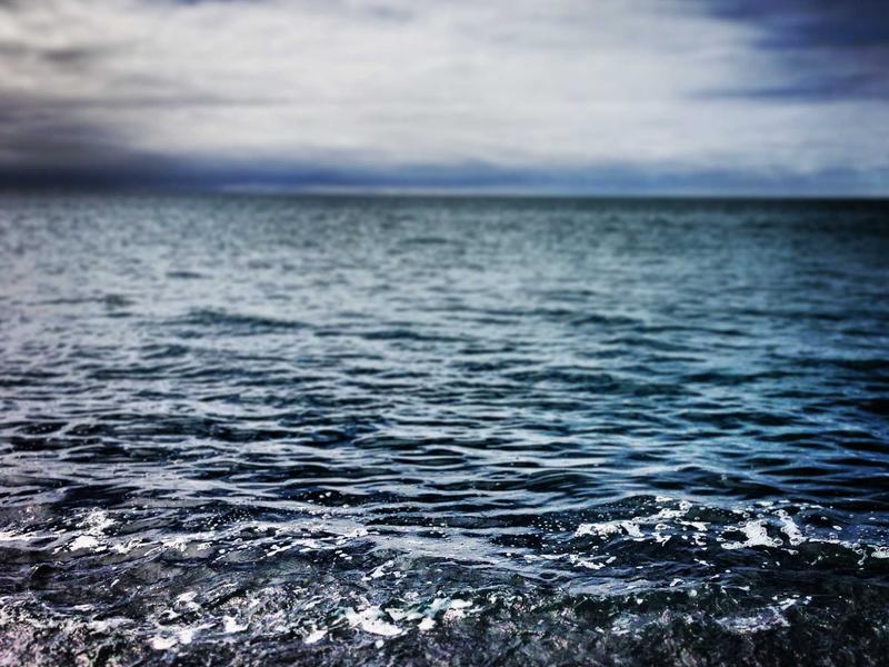 tissel photography gal 2